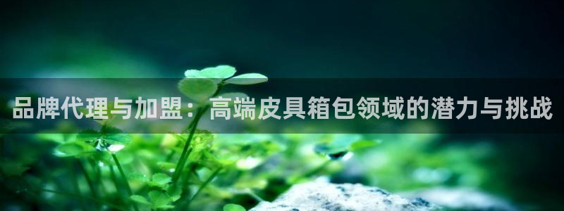 卧龙休闲娱乐热门推荐