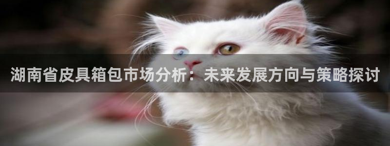 南阳卧龙娱乐会所评价