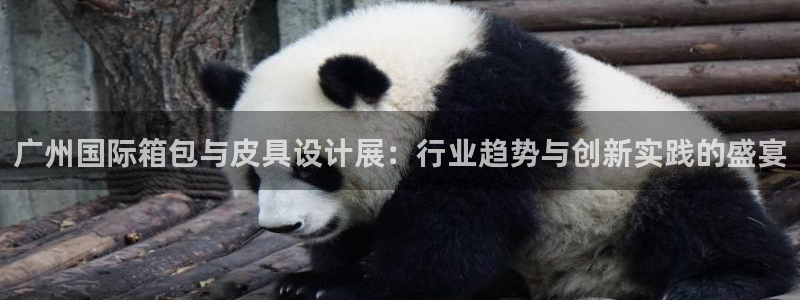 卧龙2神机娱乐代理