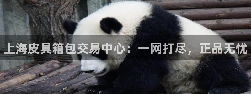 卧龙游乐娱乐设备