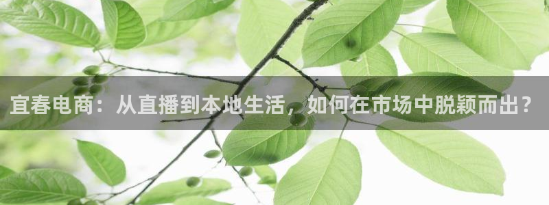 卧龙娱乐前7O667