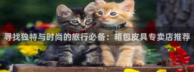 卧龙沟娱乐场