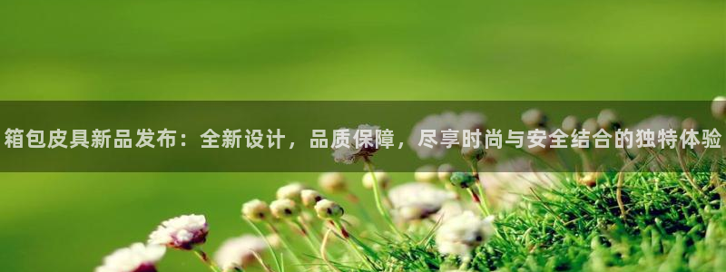 创亿娱乐d卧龙313322