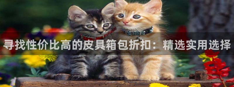 卧龙娱乐在线直播