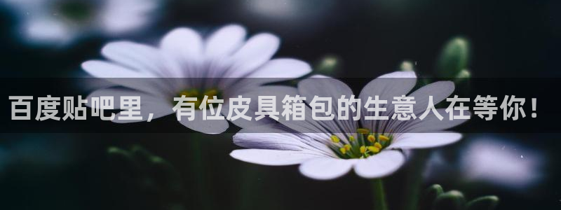 卧龙娱乐左