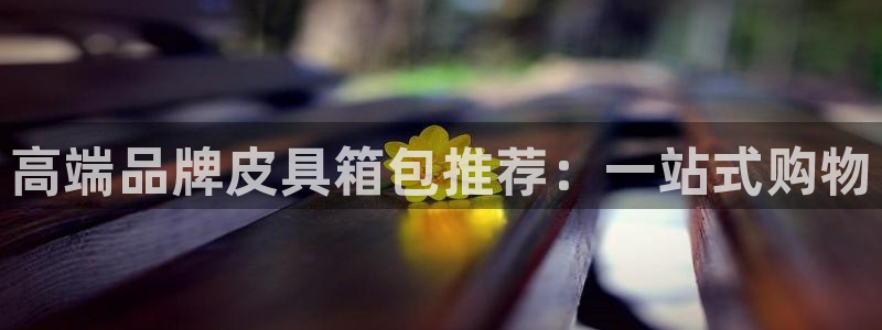 卧龙娱乐app下载安装