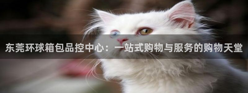 南阳卧龙水之梦娱乐会所