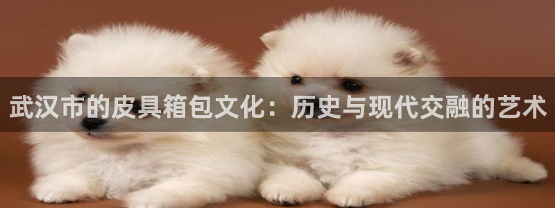 卧龙休闲娱乐人气推荐