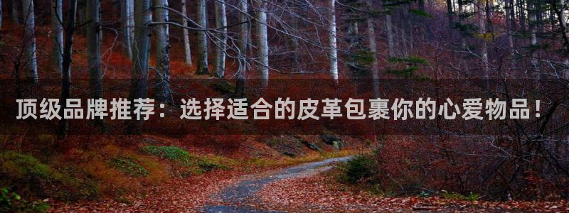 卧龙娱乐怎么注册新账号