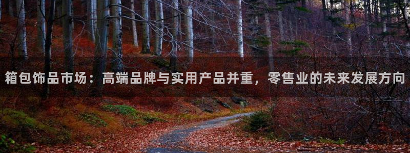 卧龙娱乐老板叫什么名子