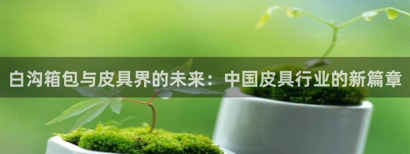 观海卧龙娱乐