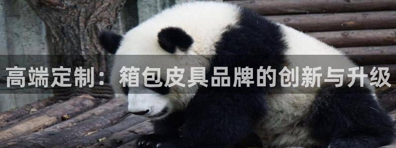 卧龙娱乐拆卡攻略