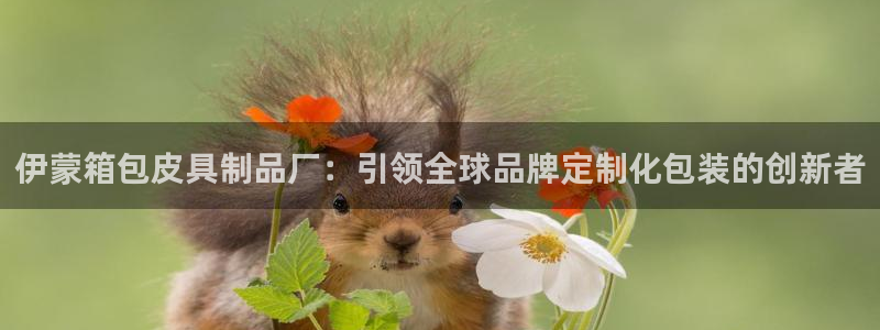 卧龙棋牌娱乐官网首页