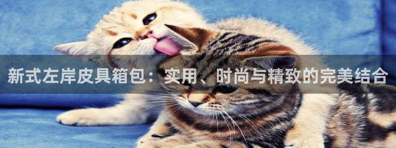 卧龙娱乐老板是谁