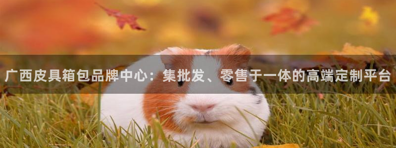 卧龙休闲娱乐优惠活动