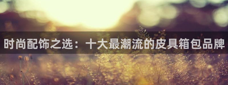 卧龙凤雏娱乐演员