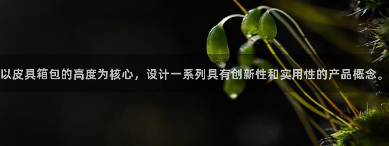 we娱乐 卧龙主管60447