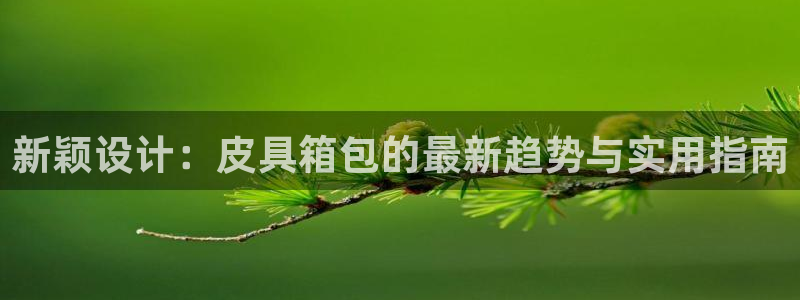 卧龙凤雏娱乐直播间