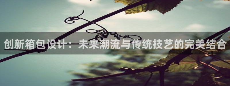 卧龙娱乐总管
