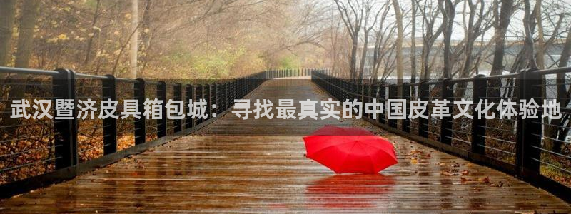 卧龙娱乐属于什么公司