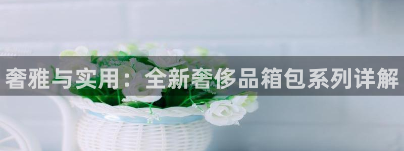PT娱乐卧龙招商60447