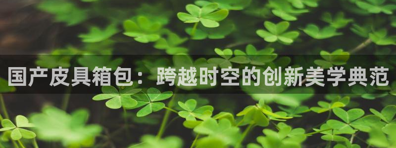 娱乐小卧龙