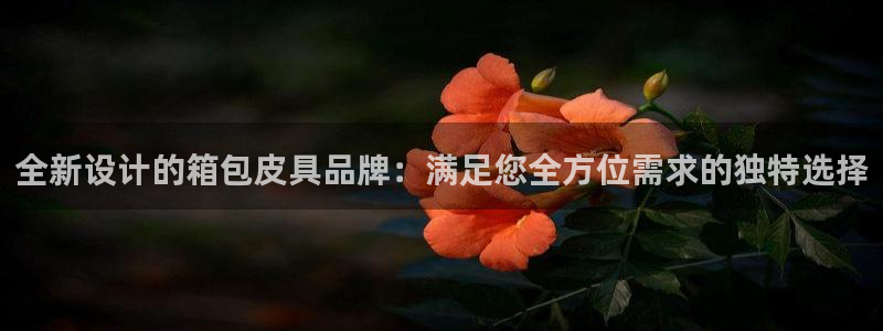 卧龙娱乐网址大全