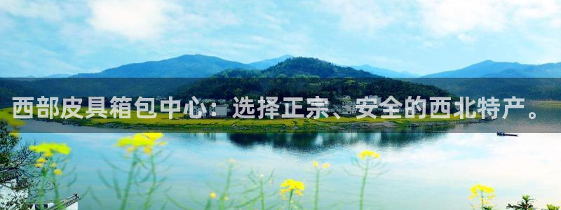 卧龙娱乐qv396667