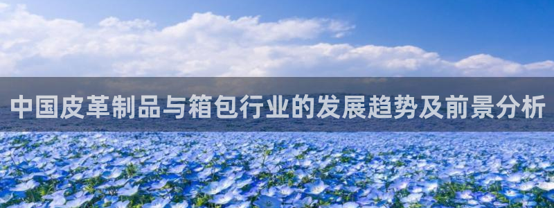 卧龙路凤凰娱乐