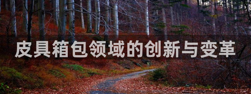 卧龙区微微娱乐商城