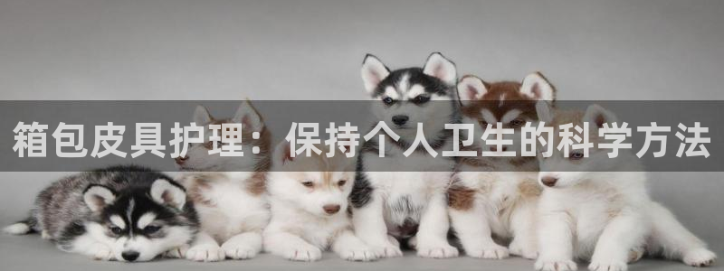 卧龙吟娱乐将