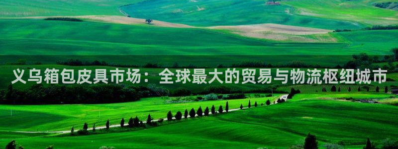 卧龙冲气娱乐设备
