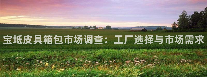 卧龙凤雏娱乐直播间