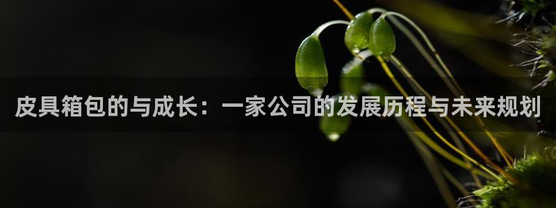 卧龙娱乐属于什么行业