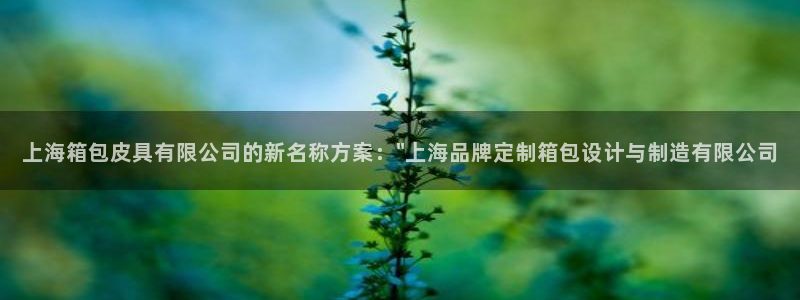 卧龙说娱乐
