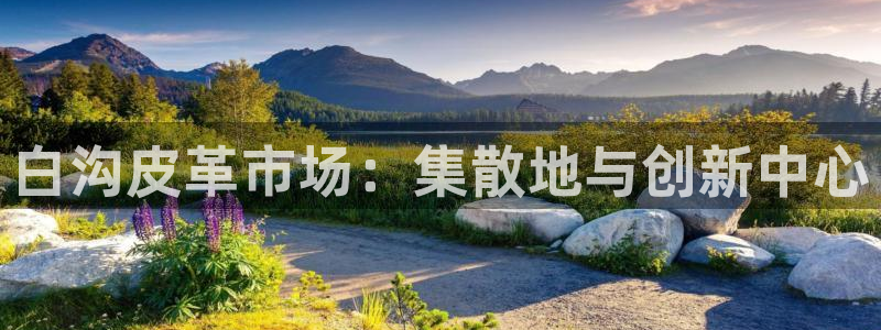 qq娱乐 卧龙招商60447