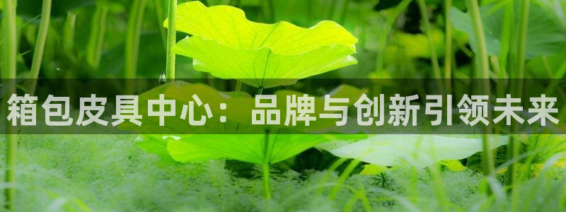 卧龙区娱乐设备