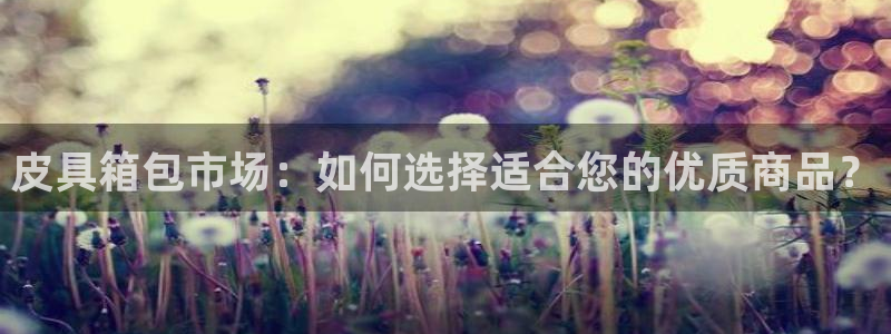 卧龙镇休闲娱乐