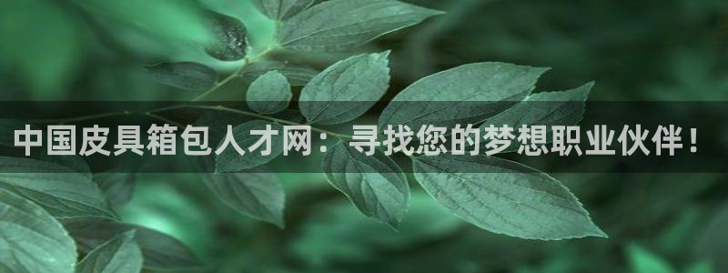 卧龙娱乐总管是谁呀