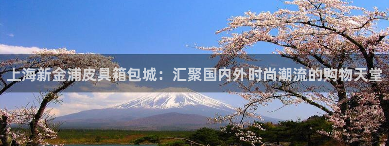 卧龙娱乐招商主管工资