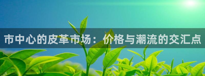 卧龙ktv娱乐会所地址