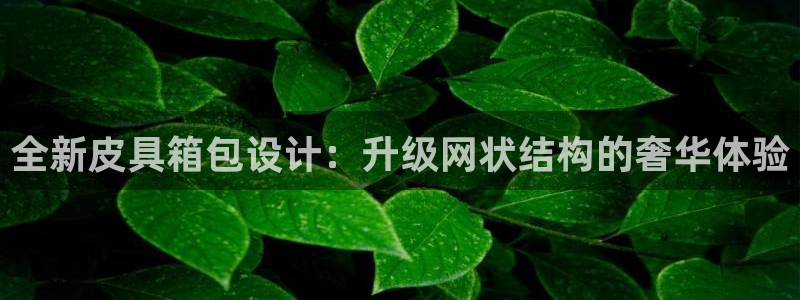卧龙娱乐注册网址
