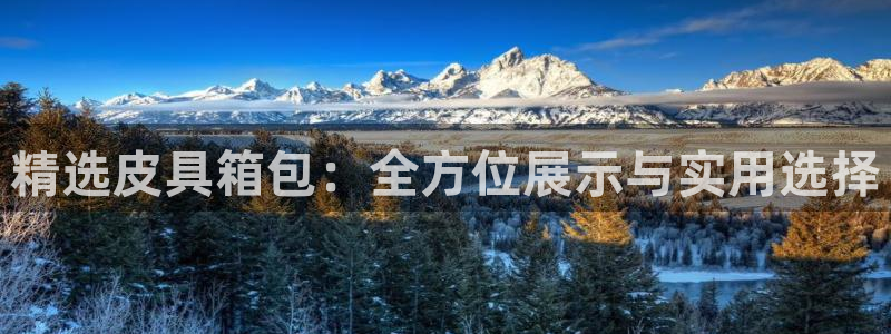 卧龙娱乐382223主管