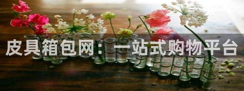 卧龙ktv娱乐会所地址