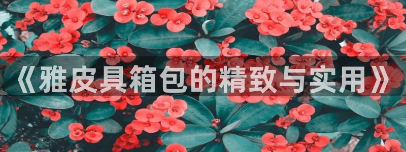 卧龙凤雏娱乐演员