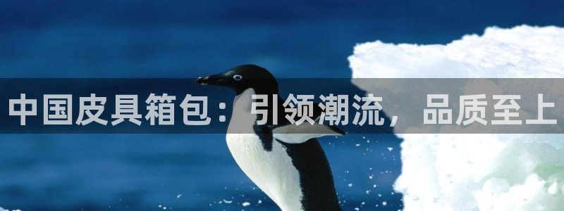 泰安卧龙大观娱乐中心