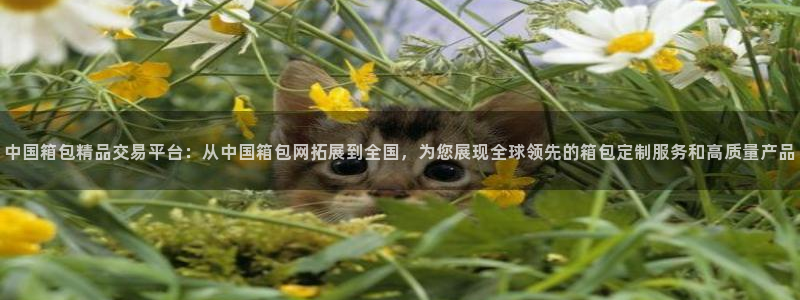 卧龙休闲娱乐优惠