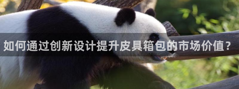 卧龙传统娱乐团购