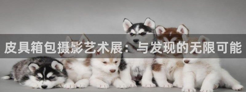 卧龙娱乐怎样注册会员