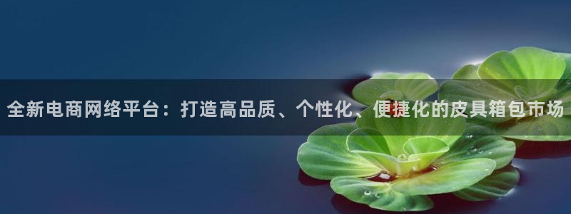 卧龙冲气娱乐设备